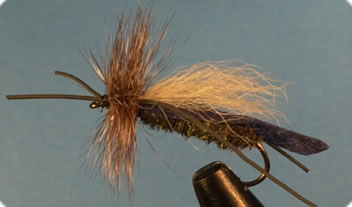 purplewingedhopperparachute.jpg